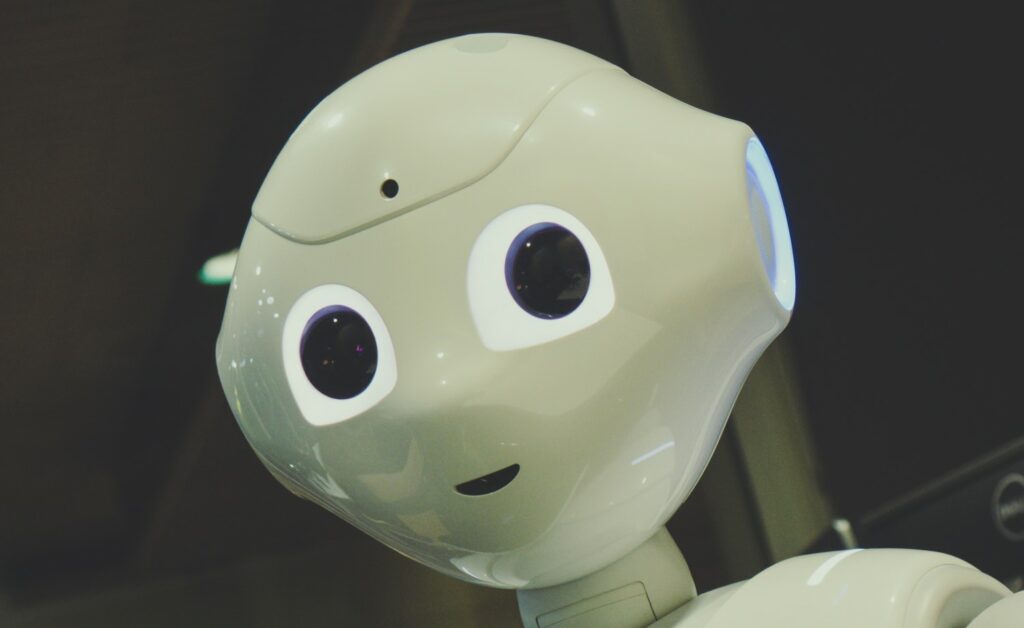 rosebud the robot