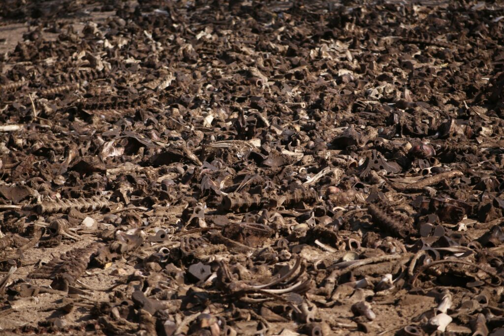 pile of bones and carasses in a "A Trade of Blood" Book Review