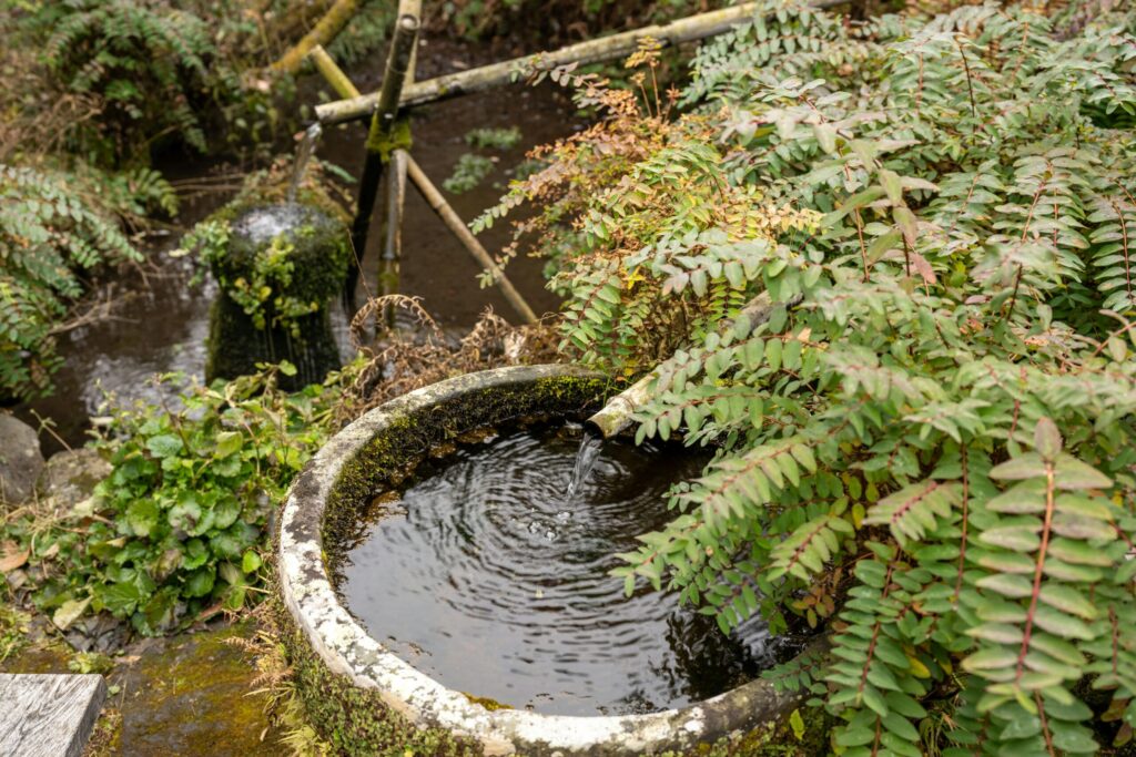a well poisoned with fungus in "A Trade of Blood" Book Review